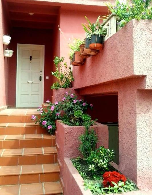 Beachfront House, Valencia, Wifi, Paddle Surf Board, Incredible Views Sueca Exterior foto