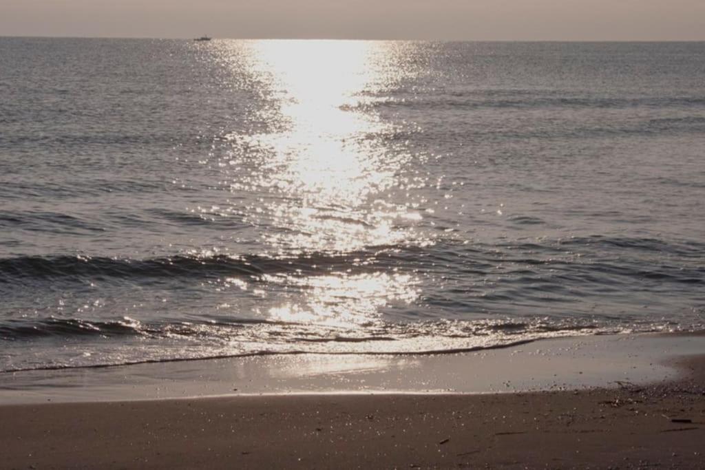 Beachfront House, Valencia, Wifi, Paddle Surf Board, Incredible Views Sueca Exterior foto